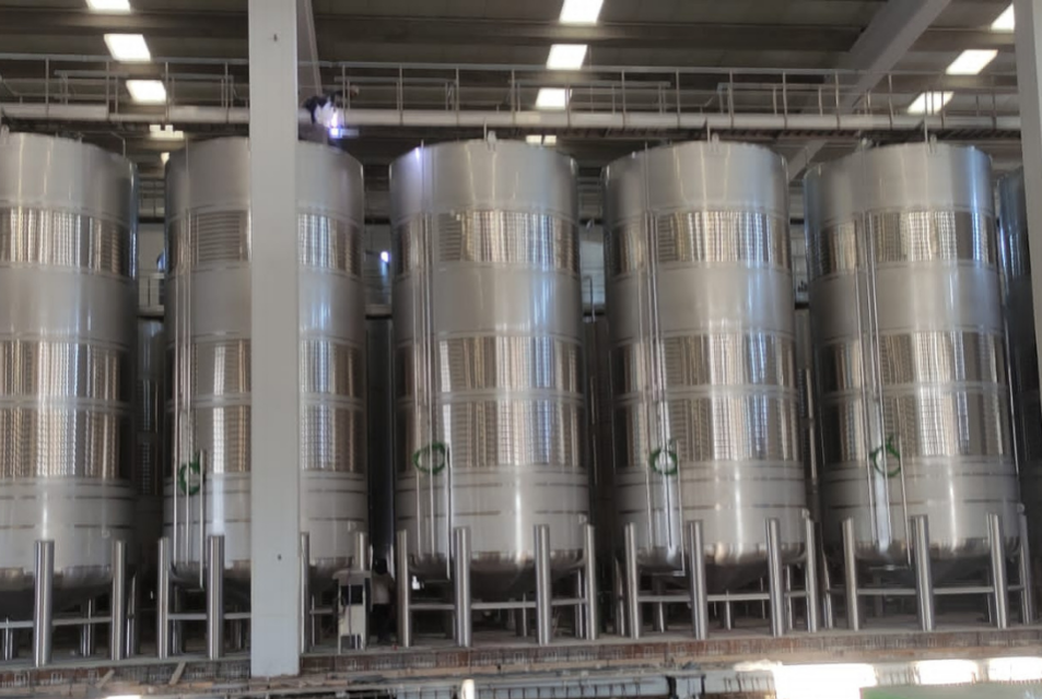CASO DE EXITO DETALLE BODEGA LATINOAMÉRICA IZDA 18-07-26 CASO DE EXITO DETALLE BODEGA LATINOAMÉRICA IZDA 18-07-26